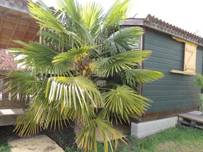 Cliquez pour découvrir toutes les photos de l'ÉTABLISSEMENT ! résidence Les Chalets D'Auvergne photo 21