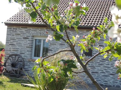 Cliquez pour découvrir toutes les photos de l'ÉTABLISSEMENT ! résidence Les Chalets D'Auvergne photo 27