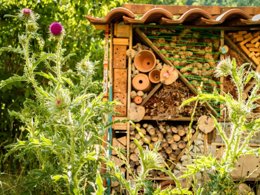 Camping Pas Cher vous présente avec son site Officiel campingpascher.fr, le Camping Le Pont De Braye classé 3 étoiles, situé sur la commune de Chastanier dans le département Lozere (Languedoc Roussillon) en France. Le camping Le Pont De Braye vous propose un hébergement de type tente de 16 m². L'établissement vous propose 4 autres types d'hébergements. Découvrez tous nos séjours à petits prix dans la commune et aux alentours de Chastanier du département : Lozere (Languedoc Roussillon). Randonnée, Snack/Bar,... En savoir plus : cliquez-ICI.