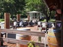 camping Le New Rabioux photo 5