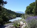 camping Le New Rabioux photo 8