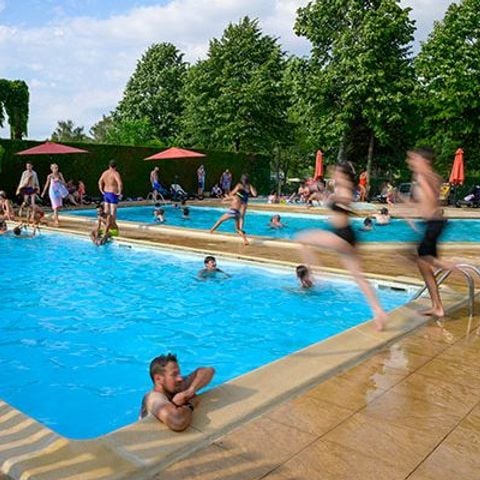 Cliquez pour découvrir toutes les photos de l'ÉTABLISSEMENT ! établissement Le Ranch Des Volcans photo 3