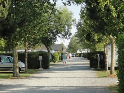 camping Le Robinson photo 12