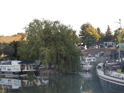 camping Les Peupliers photo 21