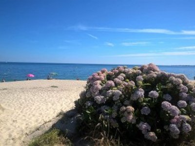 établissement Le Helles photo 19