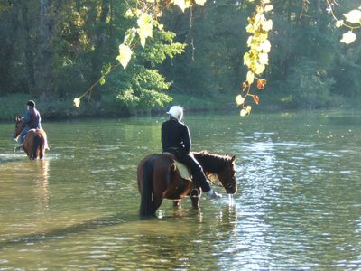 camping La Digue photo 16