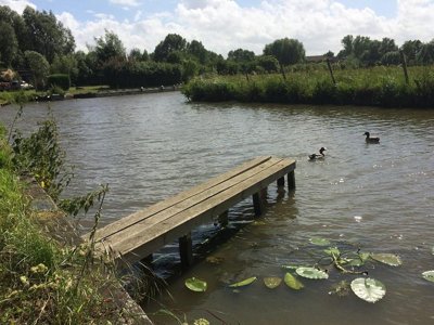 Cliquez pour découvrir toutes les photos de l'ÉTABLISSEMENT ! camping Le Clairmarais photo 21