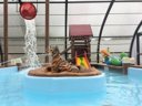 Cliquez pour découvrir toutes les photos de l'ÉTABLISSEMENT ! camping Le Clairmarais photo 8