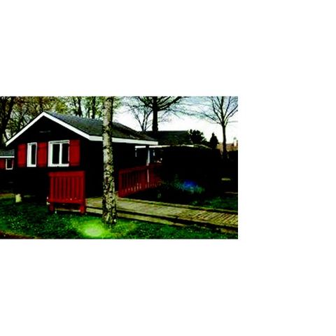 Cliquez pour découvrir toutes les photos de l'HÉBERGEMENT ! bungalow - Du Mûrier photo 2