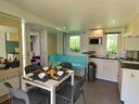 mobil-home - camping Flower Le Kergariou photo 3