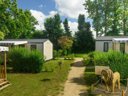 Cliquez pour découvrir toutes les photos de l'HÉBERGEMENT ! mobil-home - camping Flower Le Kergariou photo 7
