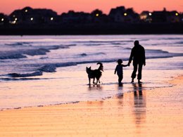 Camping Pas Cher vous présente avec son site Officiel campingpascher.fr, le Camping RCN La Ferme Du Latois classé 4 étoiles, situé sur la commune de Coex dans le département Vendée (Pays De La Loire) en France. Le camping RCN La Ferme Du Latois, vous présente un hébergement de type mobil-home et télévision. Le camping RCN La Ferme Du Latois vous propose du lundi 04 mai au lundi 11 mai 2026 pour 7 nuits à 394€. Cette location propose 114 dates différentes pour réserver votre séjour. Découvrez également les 18 autres gammes d'hébergements du camping. Les Avis clients pour le Camping RCN La Ferme Du Latois sont excellents avec une note moyenne de 8 sur 10. MerÉtang, Bassin enfant, Piscine extérieure, Animations familiales, Aire de jeux enfants, Golf, Ping-pong, Pétanque, Terrain de football, Trampoline, Bar, Dépôt de pain, Restaurant, Épicerie,... En savoir plus : cliquez-ICI.