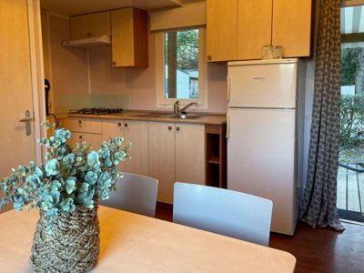 Cliquez pour découvrir toutes les photos de l'HÉBERGEMENT ! mobil-home - Le Mas De Reilhe photo 2