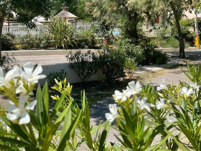 Cliquez pour découvrir toutes les photos de l'ÉTABLISSEMENT ! camping Le Mas De Reilhe photo 23