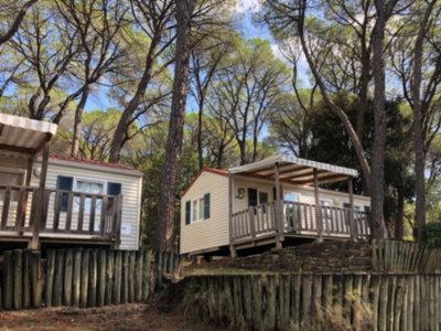 Cliquez pour découvrir toutes les photos de l'HÉBERGEMENT ! mobil-home - Le Mas De Reilhe photo 11