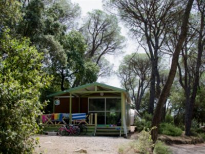 Cliquez pour découvrir toutes les photos de l'HÉBERGEMENT ! chalet - Le Mas De Reilhe photo 2