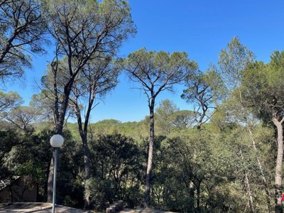 Cliquez pour découvrir toutes les photos de l'ÉTABLISSEMENT ! camping Le Mas De Reilhe photo 9