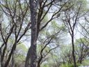 Cliquez pour découvrir toutes les photos de l'ÉTABLISSEMENT ! camping Le Mas De Reilhe photo 10
