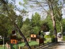 Cliquez pour découvrir toutes les photos de l'ÉTABLISSEMENT ! camping Le Mas De Reilhe photo 3