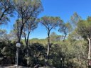 Cliquez pour découvrir toutes les photos de l'ÉTABLISSEMENT ! camping Le Mas De Reilhe photo 9
