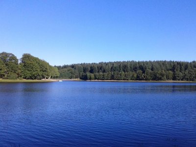 Cliquez pour découvrir toutes les photos de l'ÉTABLISSEMENT ! camping De L'Etang Du Merle photo 20