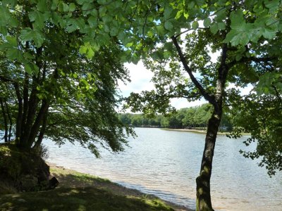 Cliquez pour découvrir toutes les photos de l'ÉTABLISSEMENT ! camping De L'Etang Du Merle photo 28