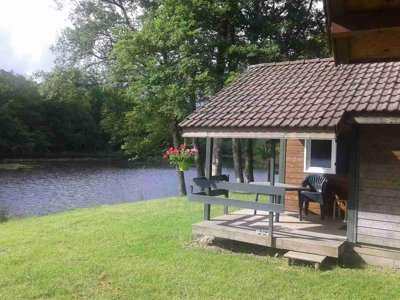 chalet - De L'Etang Du Merle photo 1