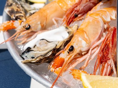 camping San Francesco Desenzano photo 12