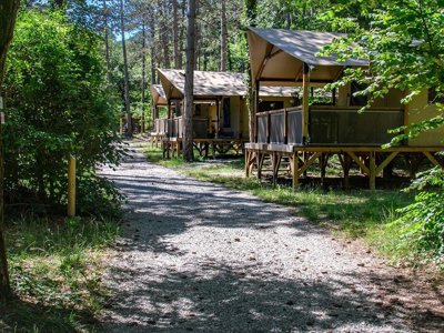 camping Flower La Pinède photo 11