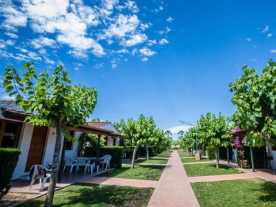 Cliquez pour découvrir toutes les photos de l'ÉTABLISSEMENT ! établissement Vendrell Platja photo 29