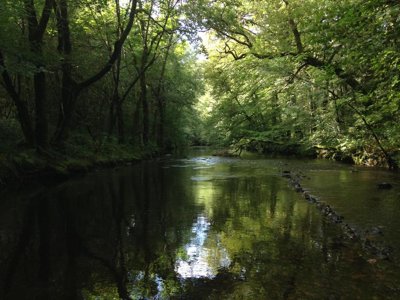 camping Au Bois De Calais photo 21