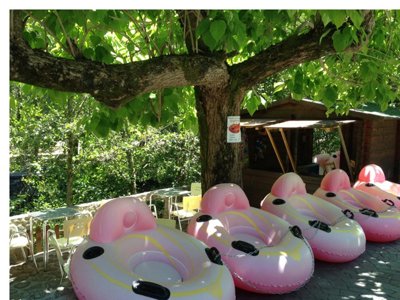 Cliquez pour découvrir toutes les photos de l'ÉTABLISSEMENT ! camping Maceira photo 17
