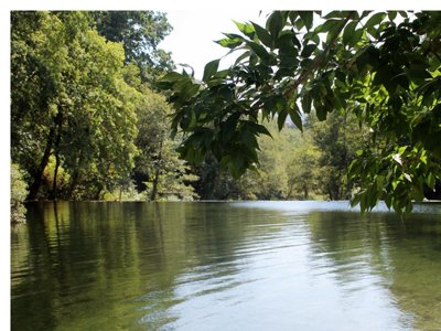 Cliquez pour découvrir toutes les photos de l'ÉTABLISSEMENT ! camping Maceira photo 28