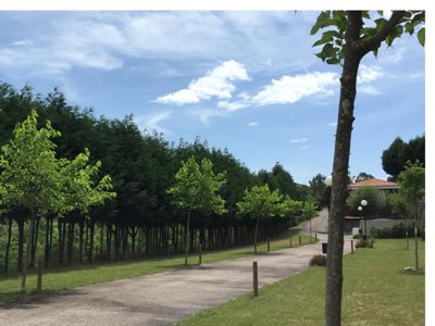 Cliquez pour découvrir toutes les photos de l'ÉTABLISSEMENT ! camping Maceira photo 6