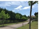 Cliquez pour découvrir toutes les photos de l'ÉTABLISSEMENT ! camping Maceira photo 6