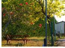 Cliquez pour découvrir toutes les photos de l'ÉTABLISSEMENT ! camping Maceira photo 9
