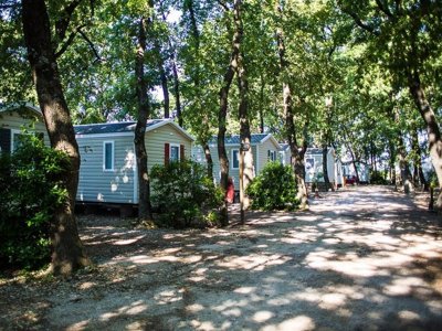 Cliquez pour découvrir toutes les photos de l'HÉBERGEMENT ! mobil-home - Le Bois Des Ecureuils photo 9