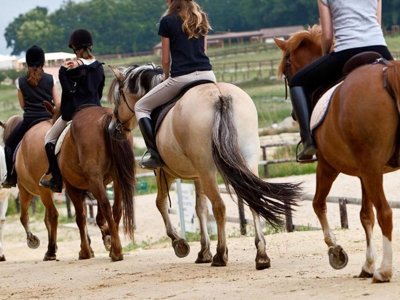 Cliquez pour découvrir toutes les photos de l'ÉTABLISSEMENT ! camping DéfiPlanet' photo 13