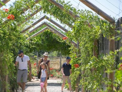 Cliquez pour découvrir toutes les photos de l'ÉTABLISSEMENT ! camping DéfiPlanet' photo 17