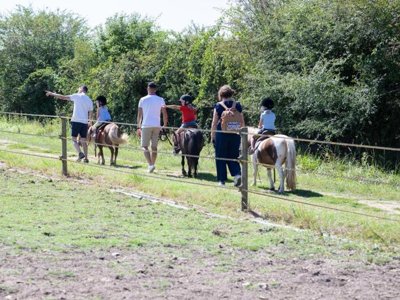 Cliquez pour découvrir toutes les photos de l'ÉTABLISSEMENT ! camping DéfiPlanet' photo 23