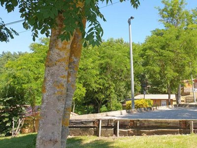 Cliquez pour découvrir toutes les photos de l'ÉTABLISSEMENT ! camping Le Bourdieu photo 7