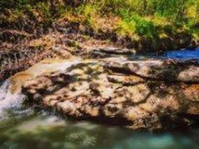 Cliquez pour découvrir toutes les photos de l'ÉTABLISSEMENT ! camping Du Bourg photo 20