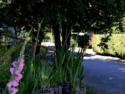 Cliquez pour découvrir toutes les photos de l'ÉTABLISSEMENT ! camping Du Bourg photo 22
