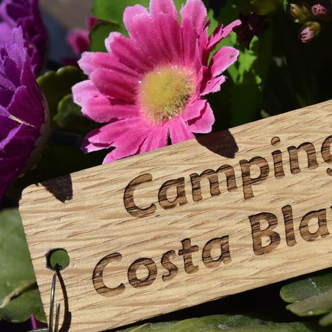 Cliquez pour découvrir toutes les photos de l'ÉTABLISSEMENT ! établissement Alannia Costa Blanca photo 3