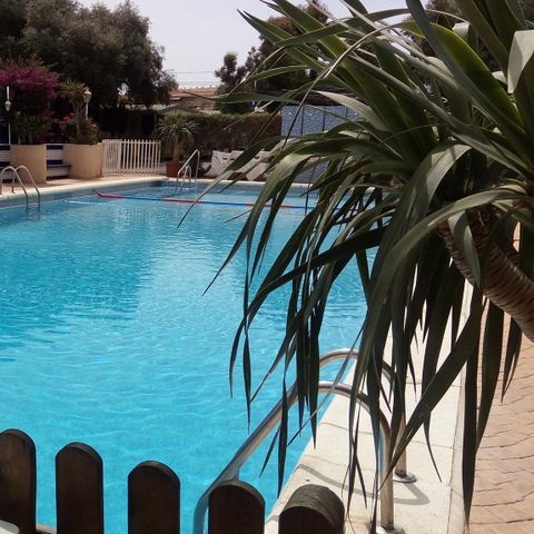 Cliquez pour découvrir toutes les photos de l'ÉTABLISSEMENT ! établissement Alannia Costa Blanca photo 4