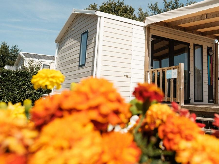 Camping Pas Cher vous présente avec son site Officiel campingpascher.fr, le Camping Les Floralies classé 4 étoiles, situé sur la commune de Dolus D'oléron dans le département Charente-maritime (Poitou Charentes) en France. Le camping Les Floralies, vous présente un hébergement de type mobil-home de 30 m² et télévision. Le camping Les Floralies vous propose du sam. 06 juin au sam. 13 juin 2026, en promotion à -27% pour 7 nuits à 257 € au lieu de 355,0 € soit une Économie de 98 €. Cette location propose 22 dates différentes pour réserver votre séjour. Découvrez également les 9 autres gammes d'hébergements du camping. Les Avis clients pour le Camping Les Floralies sont excellents avec une note moyenne de 8 sur 10. Piscine chauffée, Piscine extérieure, Animations familiales, Aire de jeux enfants, Baby-foot, Centre équestre, Cyclisme, Flipper, Parcours sportif, Ping-pong, Pétanque, Structure gonflable enfants, Terrain de football, Bar, Bureau de tabac, Dépôt de pain, Plats à emporter, Snack/Bar, Station-service, Supermarché,... En savoir plus : cliquez-ICI.