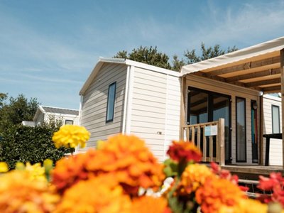 Cliquez pour découvrir toutes les photos de l'ÉTABLISSEMENT ! camping Les Floralies photo 21