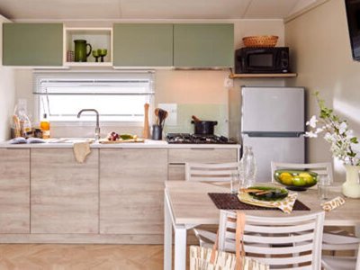 Cliquez pour découvrir toutes les photos de l'HÉBERGEMENT ! mobil-home - Les Floralies photo 3