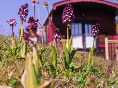 Cliquez pour découvrir toutes les photos de l'HÉBERGEMENT ! hébergement insolite - Domaine D'Escapa photo 2