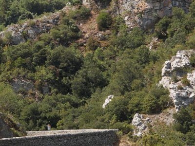 camping Des Randonneurs photo 19